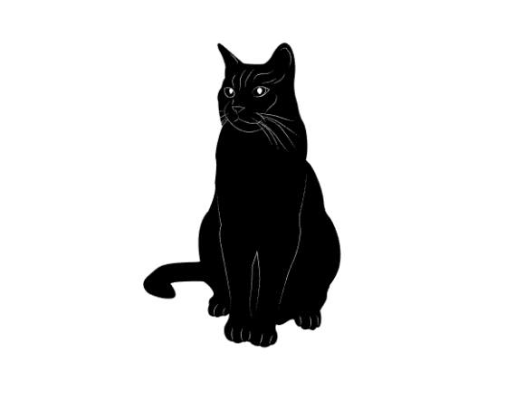 Cat. — A Boho Silhouette That Stitches Clean