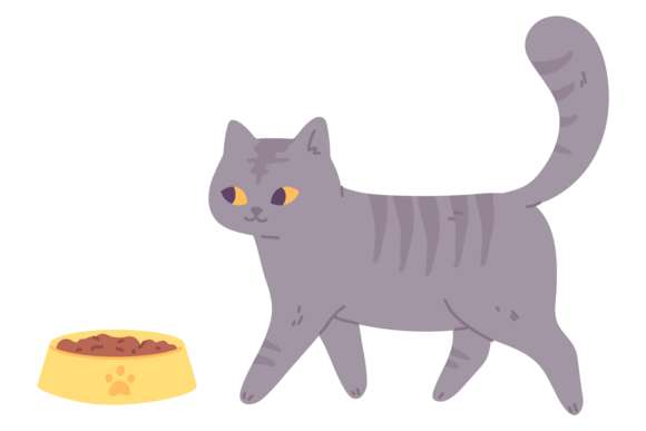 Cat Feed. Cute Gray Kitten and Pet Bowl