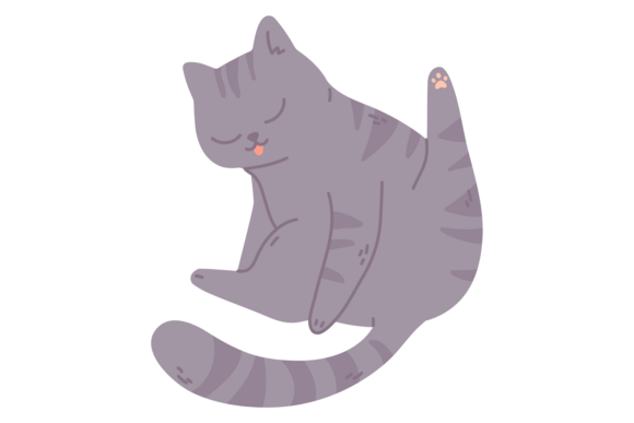 Cat Washing and Lick Fur. Cleaning Gray