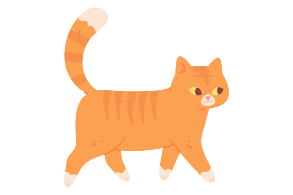 Friendly Cat Walking. Cute Red Hair Pet