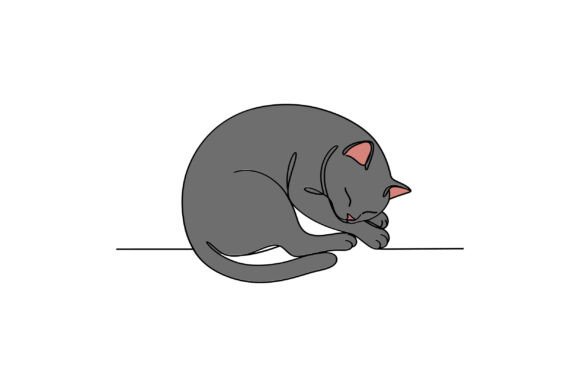 Grey Cat Curled Up Peacefully, Showcasin