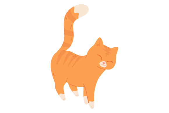 Happy Cat Walking. Pet with Joyful Face