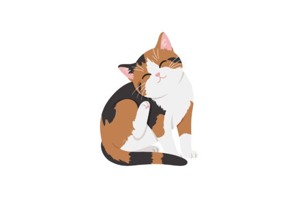 Playful Calico Cat Grooming Itself