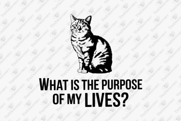 Purpose of My Lives Sarcastic Cat Humor